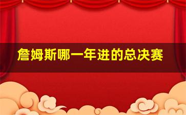 詹姆斯哪一年进的总决赛