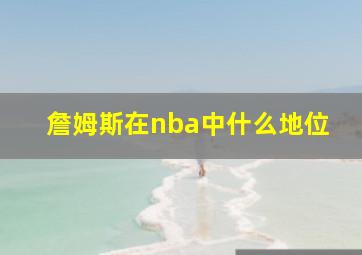 詹姆斯在nba中什么地位