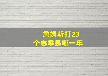 詹姆斯打23个赛季是哪一年