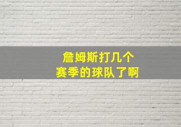 詹姆斯打几个赛季的球队了啊