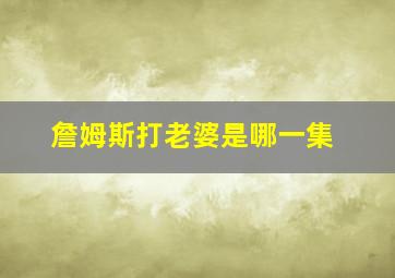 詹姆斯打老婆是哪一集