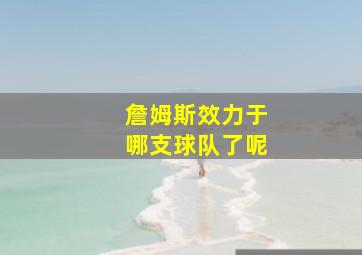 詹姆斯效力于哪支球队了呢