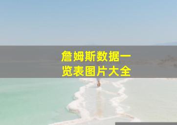 詹姆斯数据一览表图片大全