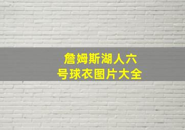 詹姆斯湖人六号球衣图片大全