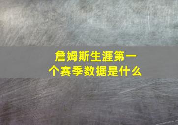 詹姆斯生涯第一个赛季数据是什么