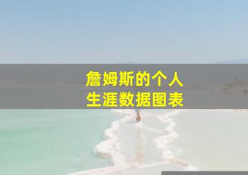 詹姆斯的个人生涯数据图表