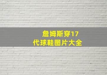 詹姆斯穿17代球鞋图片大全