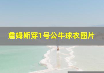 詹姆斯穿1号公牛球衣图片