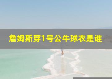 詹姆斯穿1号公牛球衣是谁