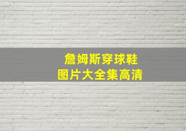 詹姆斯穿球鞋图片大全集高清