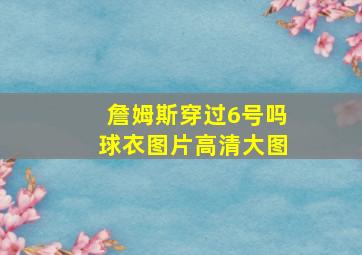 詹姆斯穿过6号吗球衣图片高清大图