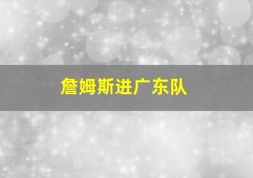 詹姆斯进广东队