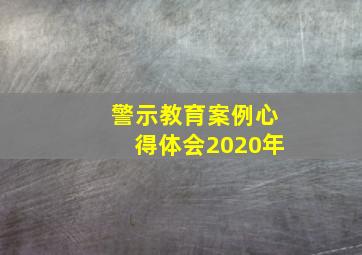 警示教育案例心得体会2020年