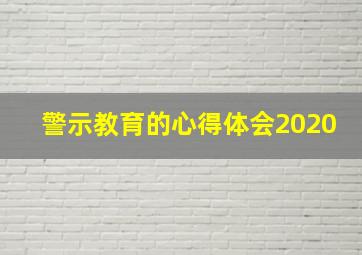 警示教育的心得体会2020