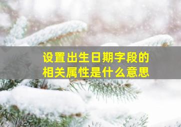 设置出生日期字段的相关属性是什么意思