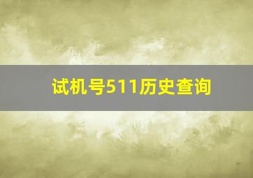 试机号511历史查询