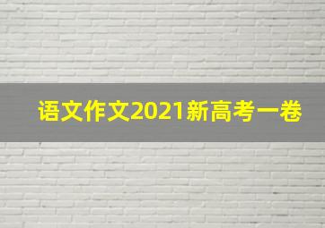 语文作文2021新高考一卷