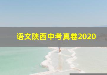 语文陕西中考真卷2020