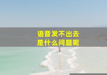 语音发不出去是什么问题呢