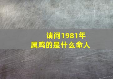 请问1981年属鸡的是什么命人