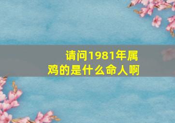 请问1981年属鸡的是什么命人啊