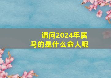 请问2024年属马的是什么命人呢