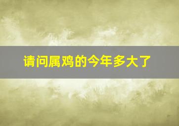 请问属鸡的今年多大了