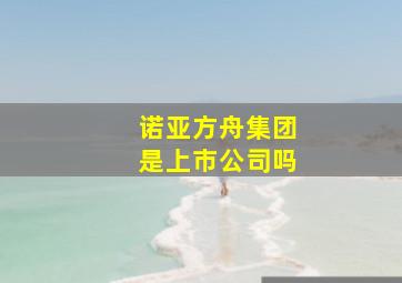 诺亚方舟集团是上市公司吗