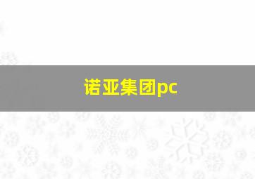 诺亚集团pc