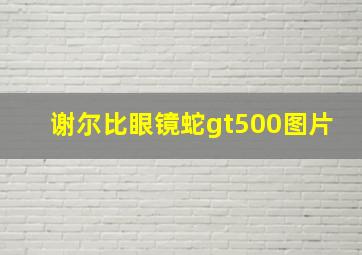 谢尔比眼镜蛇gt500图片