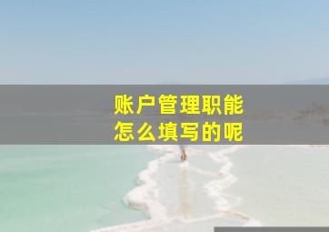 账户管理职能怎么填写的呢