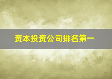 资本投资公司排名第一