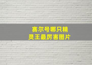 赛尔号哪只精灵王最厉害图片