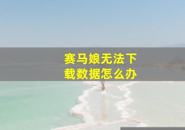 赛马娘无法下载数据怎么办