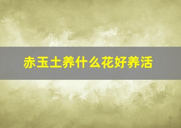 赤玉土养什么花好养活