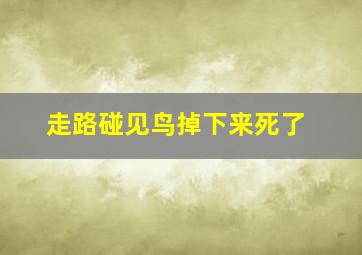 走路碰见鸟掉下来死了