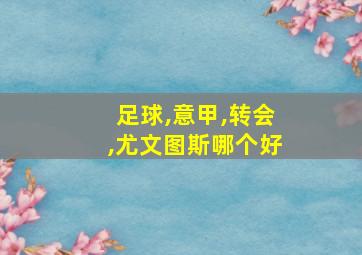 足球,意甲,转会,尤文图斯哪个好