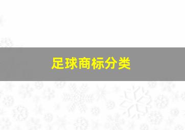 足球商标分类