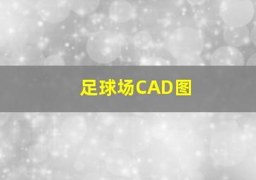 足球场CAD图