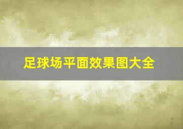 足球场平面效果图大全