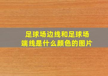 足球场边线和足球场端线是什么颜色的图片