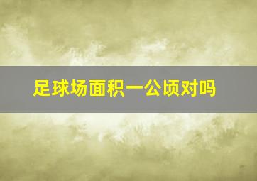 足球场面积一公顷对吗