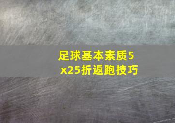 足球基本素质5x25折返跑技巧