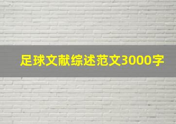 足球文献综述范文3000字