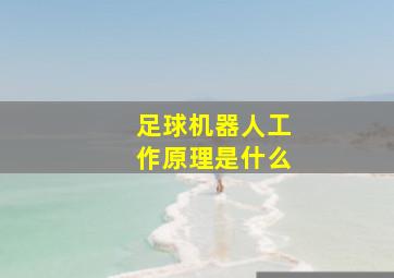 足球机器人工作原理是什么