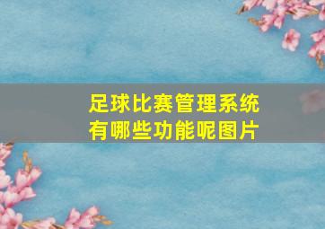 足球比赛管理系统有哪些功能呢图片