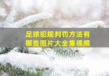 足球犯规判罚方法有哪些图片大全集视频