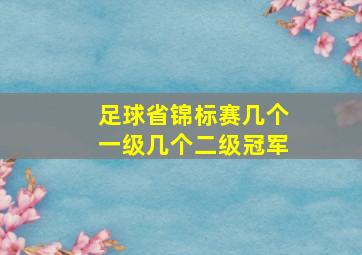 足球省锦标赛几个一级几个二级冠军