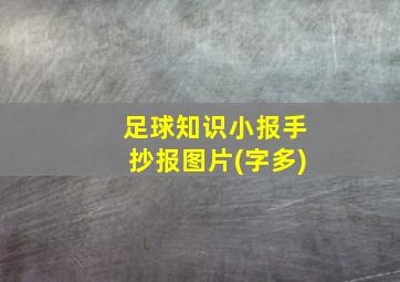 足球知识小报手抄报图片(字多)