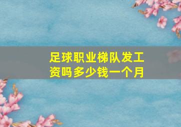 足球职业梯队发工资吗多少钱一个月